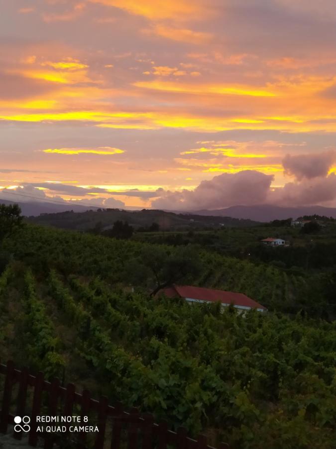 Chalé Casa Vinhas Velhas By Casa Do Poço Peso da Régua